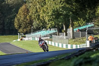 cadwell-no-limits-trackday;cadwell-park;cadwell-park-photographs;cadwell-trackday-photographs;enduro-digital-images;event-digital-images;eventdigitalimages;no-limits-trackdays;peter-wileman-photography;racing-digital-images;snetterton;snetterton-no-limits-trackday;snetterton-photographs;snetterton-trackday-photographs;trackday-digital-images;trackday-photos